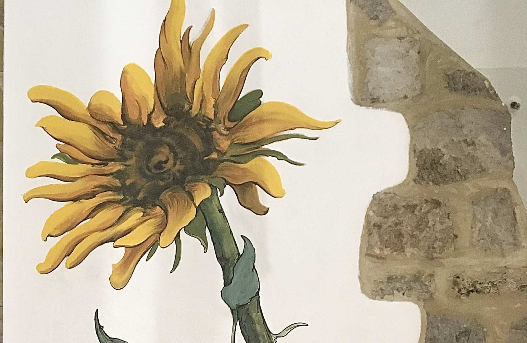 Sunflower-Right-Side-Head-Crop
